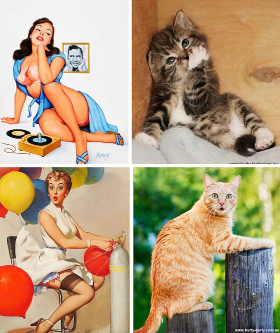 pinup-girls-and-adorable-cats-in-similar-poses